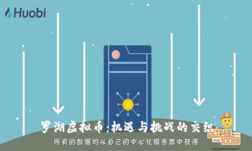罗湖虚拟币:机遇与挑战的交织