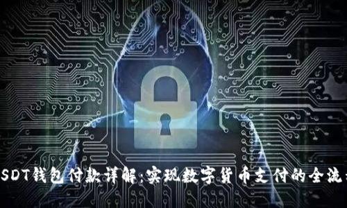 USDT钱包付款详解:实现数字货币支付的全流程
