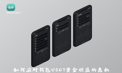 如何应对钱包USDT资金被盗的危机