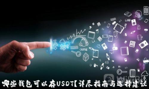 哪些钱包可以存USDT?详尽指南与选择建议