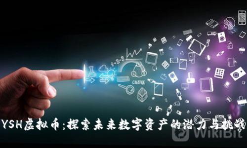 YSH虚拟币:探索未来数字资产的潜力与挑战