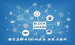 探索虚拟币VNS的未来：机遇与挑战