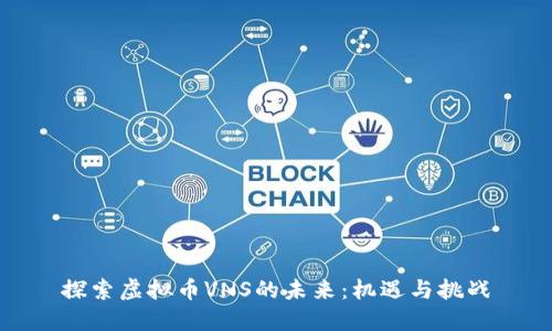 探索虚拟币VNS的未来:机遇与挑战