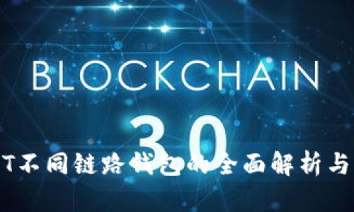 USDT不同链路钱包的全面解析与应用