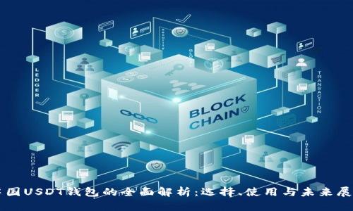 中国USDT钱包的全面解析:选择、使用与未来展望