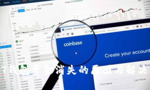 USDT钱包资金消失的原因与解决方案