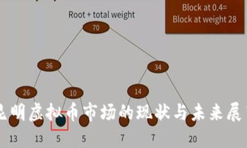 昆明虚拟币市场的现状与未来展望
