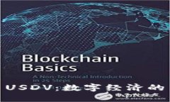 : 虚拟币USDV：数字经济的新领军者