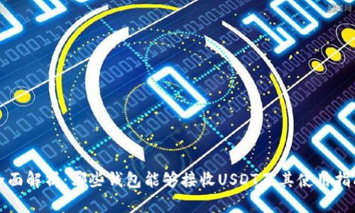 全面解析:哪些钱包能够接收USDT及其使用指南