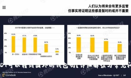 USDT可以转到国外的钱包吗?详细解读与常见问题