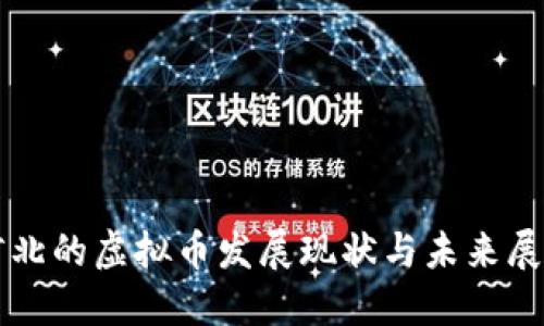 河北的虚拟币发展现状与未来展望