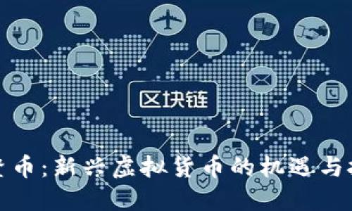 博鳌币:新兴虚拟货币的机遇与挑战