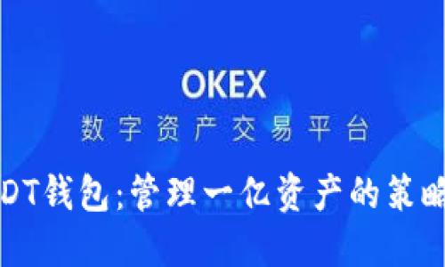 探索USDT钱包:管理一亿资产的策略与挑战
