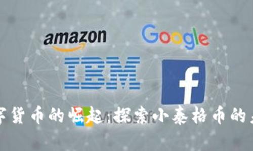 数字货币的崛起:探索小泰格币的未来