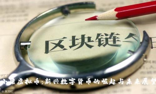 小梁虚拟币:新兴数字货币的崛起与未来展望