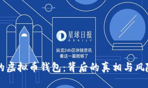 消失的虚拟币钱包:背后的真相与风险解析