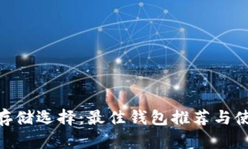 USDT存储选择:最佳钱包推荐与使用指南