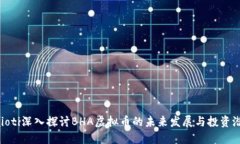 baioti深入探讨BHA虚拟币的未来发展与投资潜力