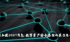 新加坡USDT钱包：数字资产安全存储的最佳选择